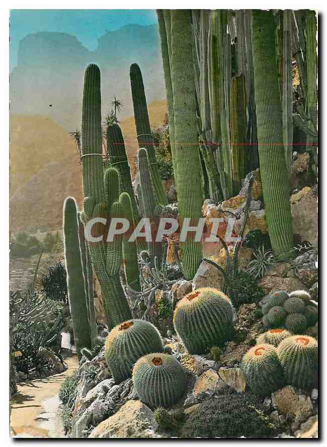 CPM Les Jardins Exotiques sur la Cote d'Azur 