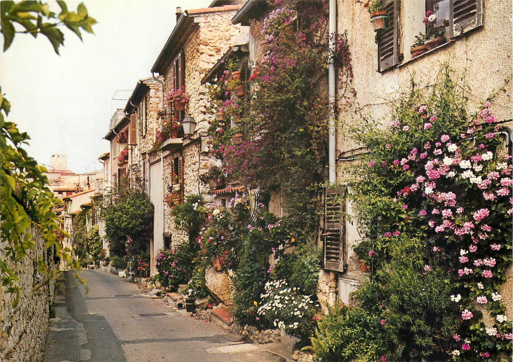 CPM Antibes Alpes Maritimes La rue du Haut Castelet 