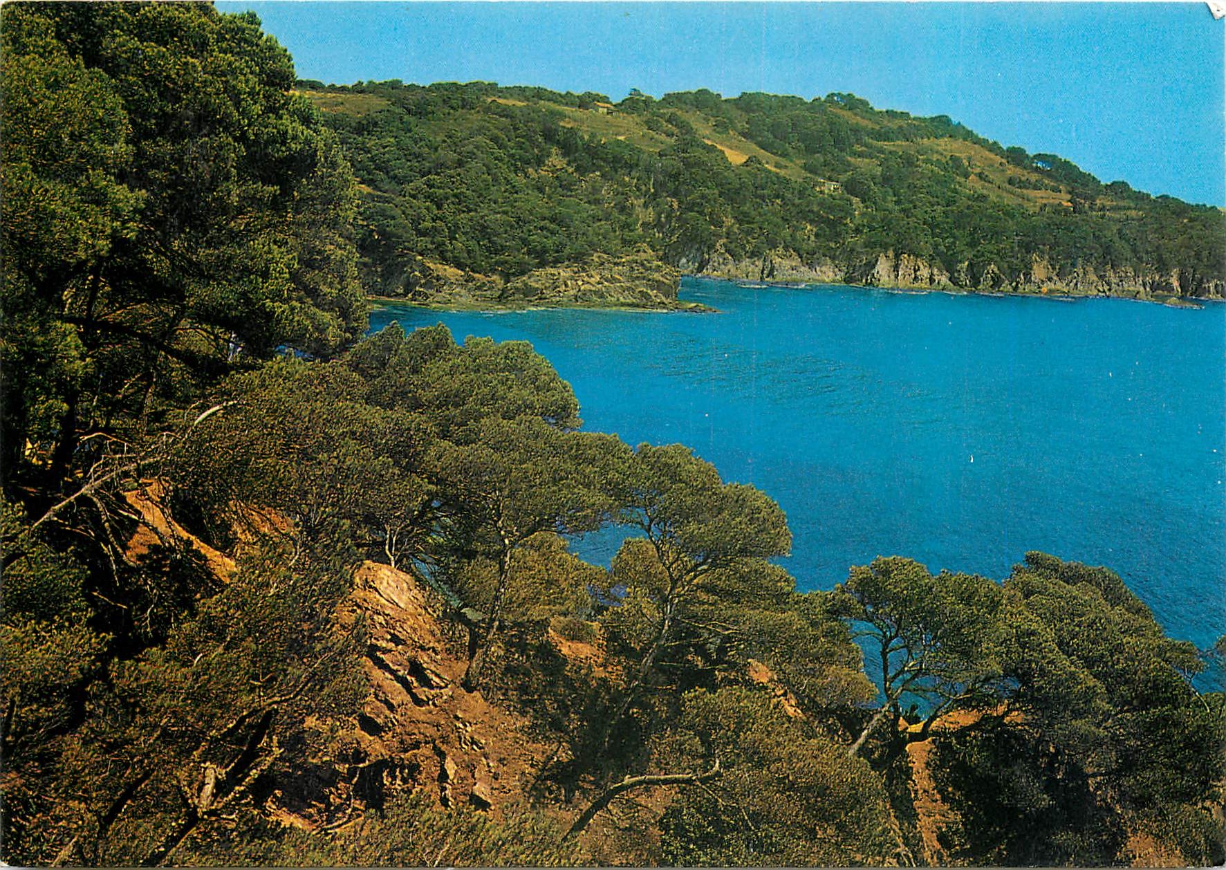 CPM Presqu'ile de Giens Var Pinedes et Rochers cote sud 