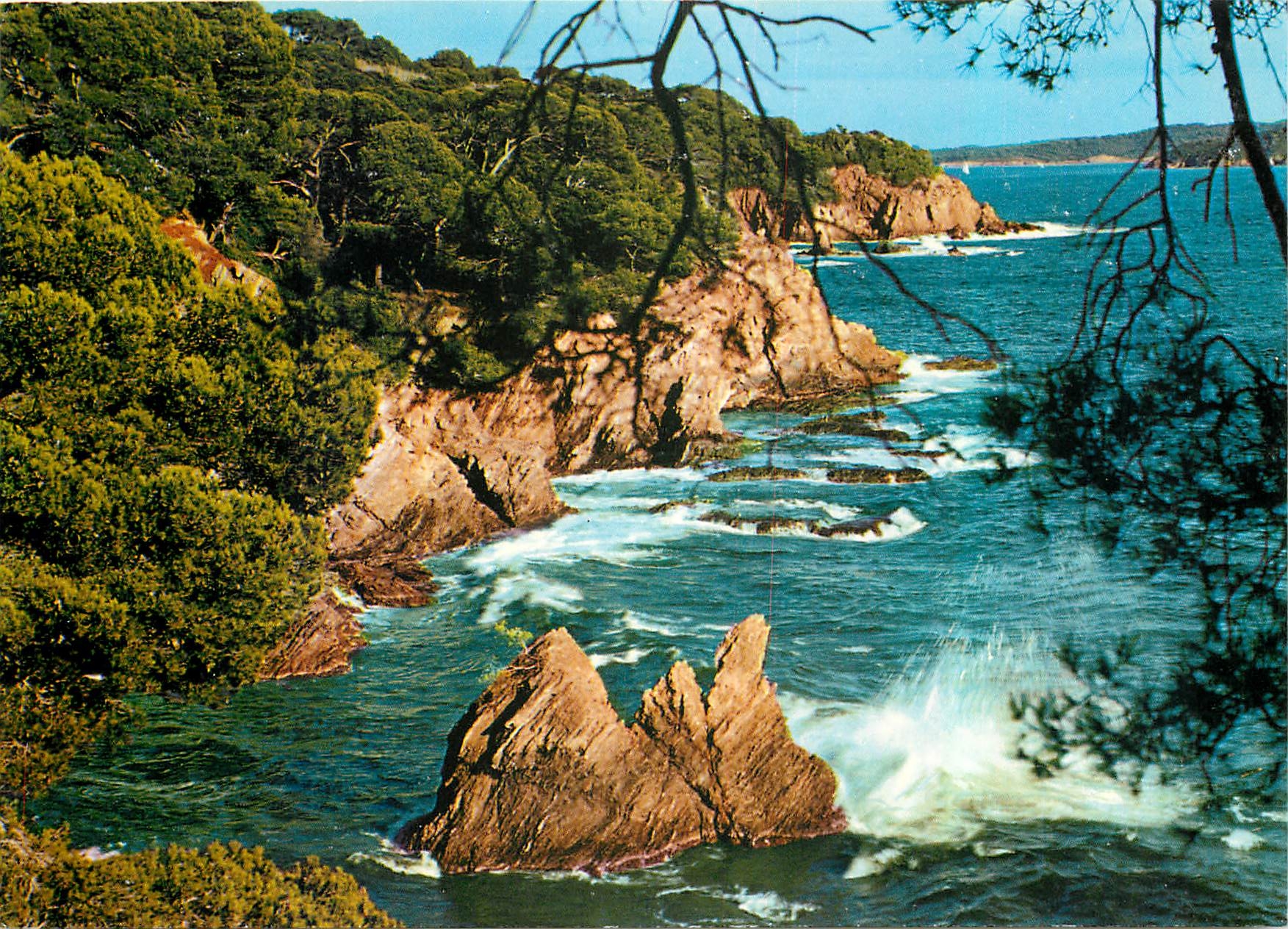 CPM Presqu'ile de Giens Var Falaises de la Polynesie 