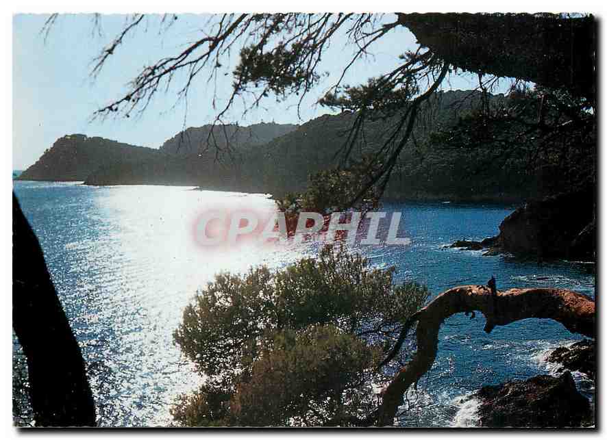 CPM Presqu'ile de Giens Var La Cote Sauvage au coucher de soleil 