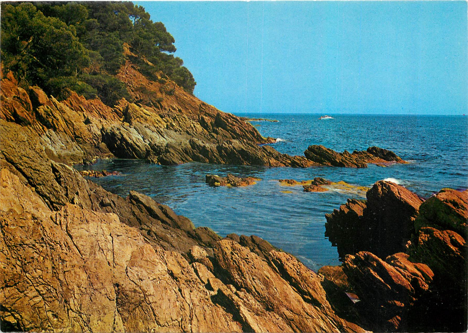 CPM Presqu'ile de Giens Var La Cote Sauvage 