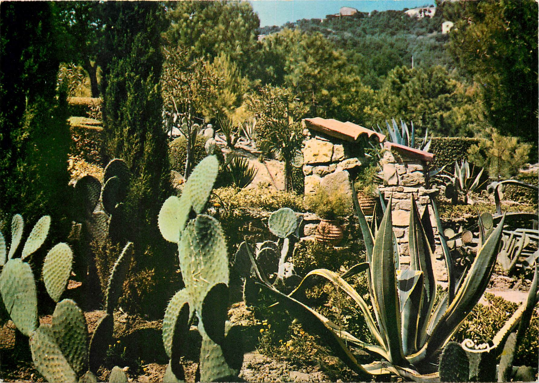CPM Calanques des Issambres Var Jardin Exotique a l'entree du Village Provencal 