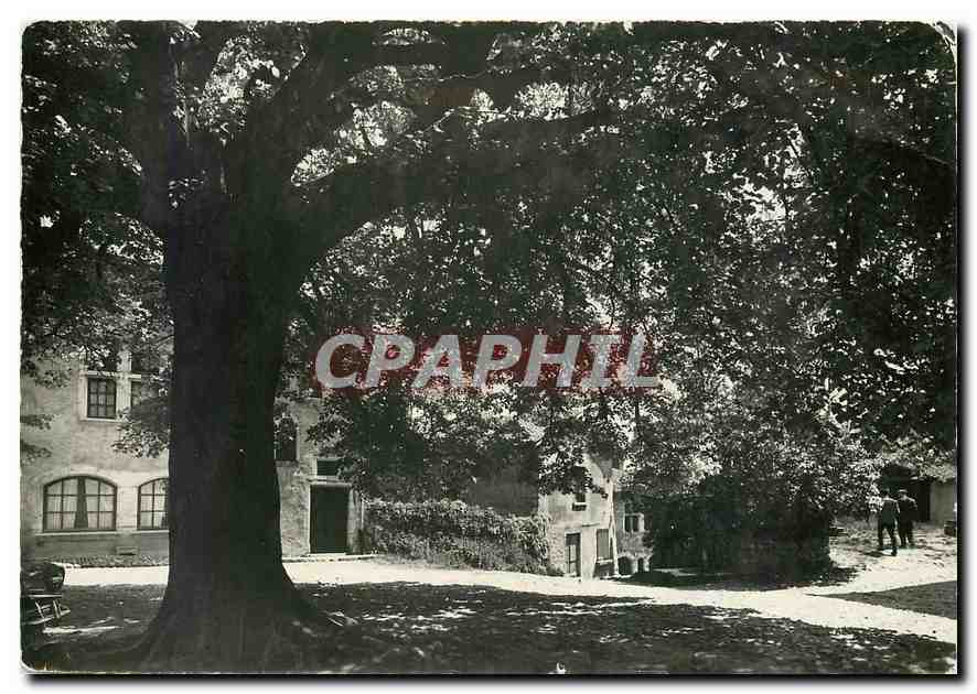 CPM Cite de Perouges Ain L'Arbre de la Liberte 