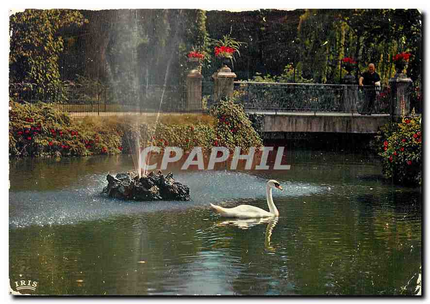CPM Vichy Allier Ville sejour Cygne