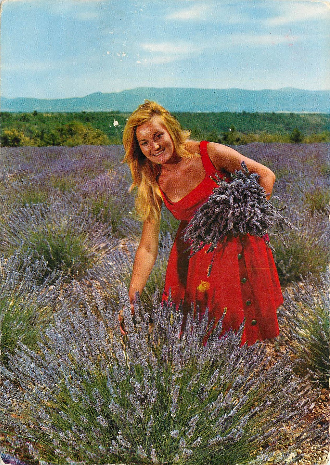 CPM Les sites Merveilleux de la Cote d'azur et de la Provence Jeune fille cueillant la lavande 