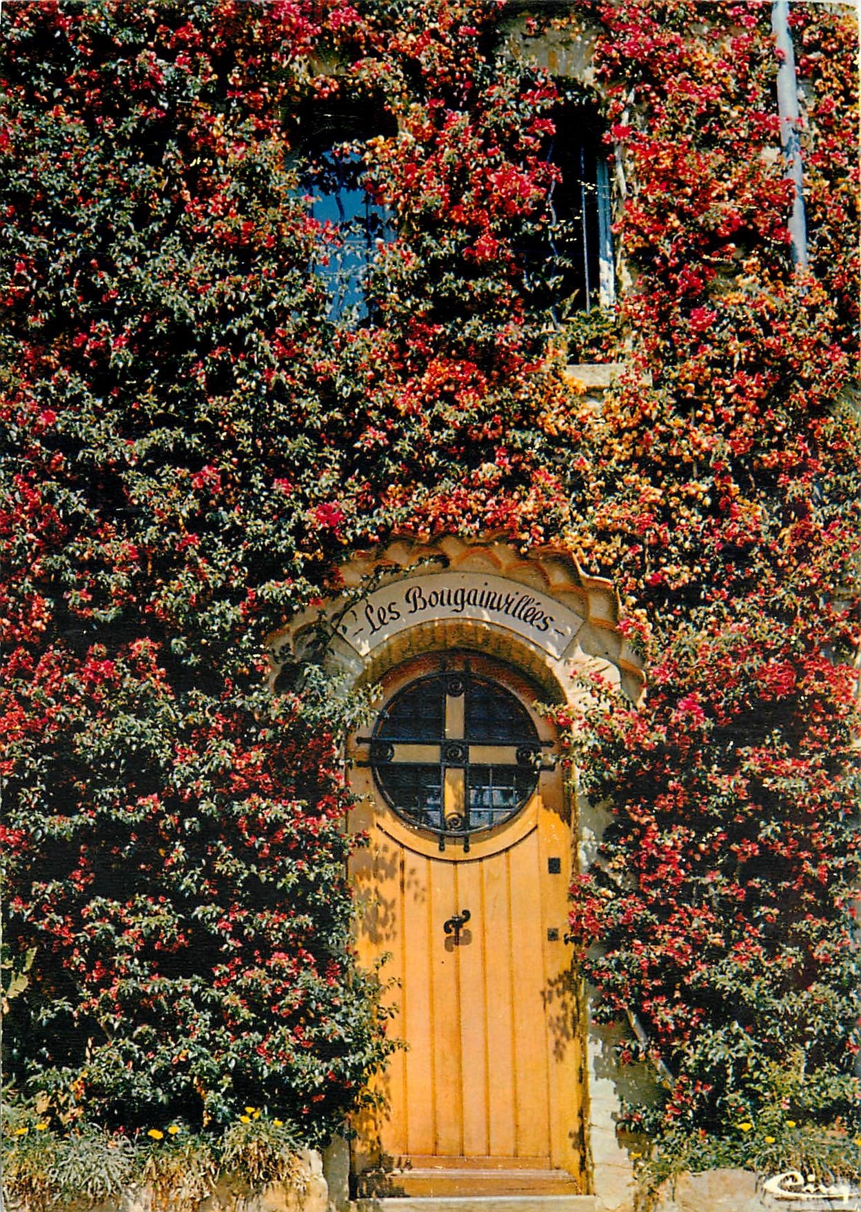 CPM Cote d'Azur France Bormes les Mimosas 