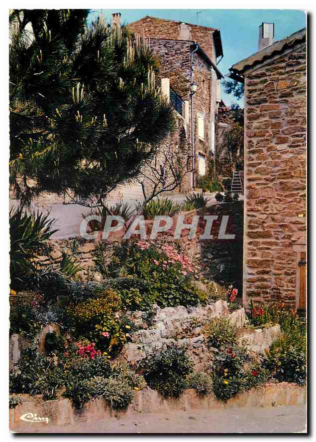 CPM Cote d'Azur France Bormes les Mimosas Var Vieille rue 