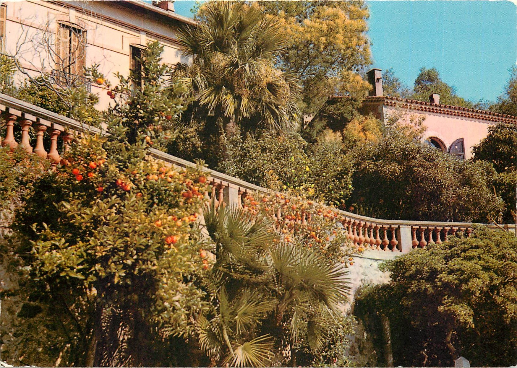 CPM Bormes les Mimosas La Perle du Var 