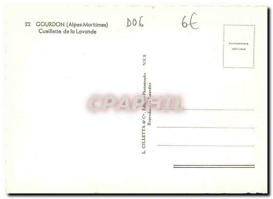 CPM Gourdon Alpes Maritimes Cueillette de la Lavande  — Rückseite