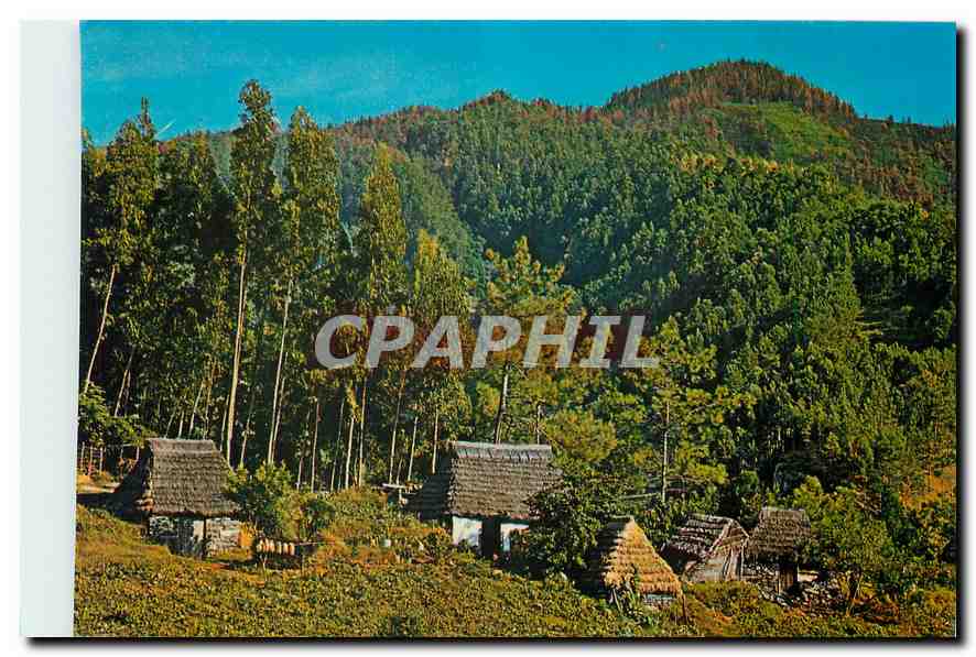 CPM Santana Madeira Casas tipicas 