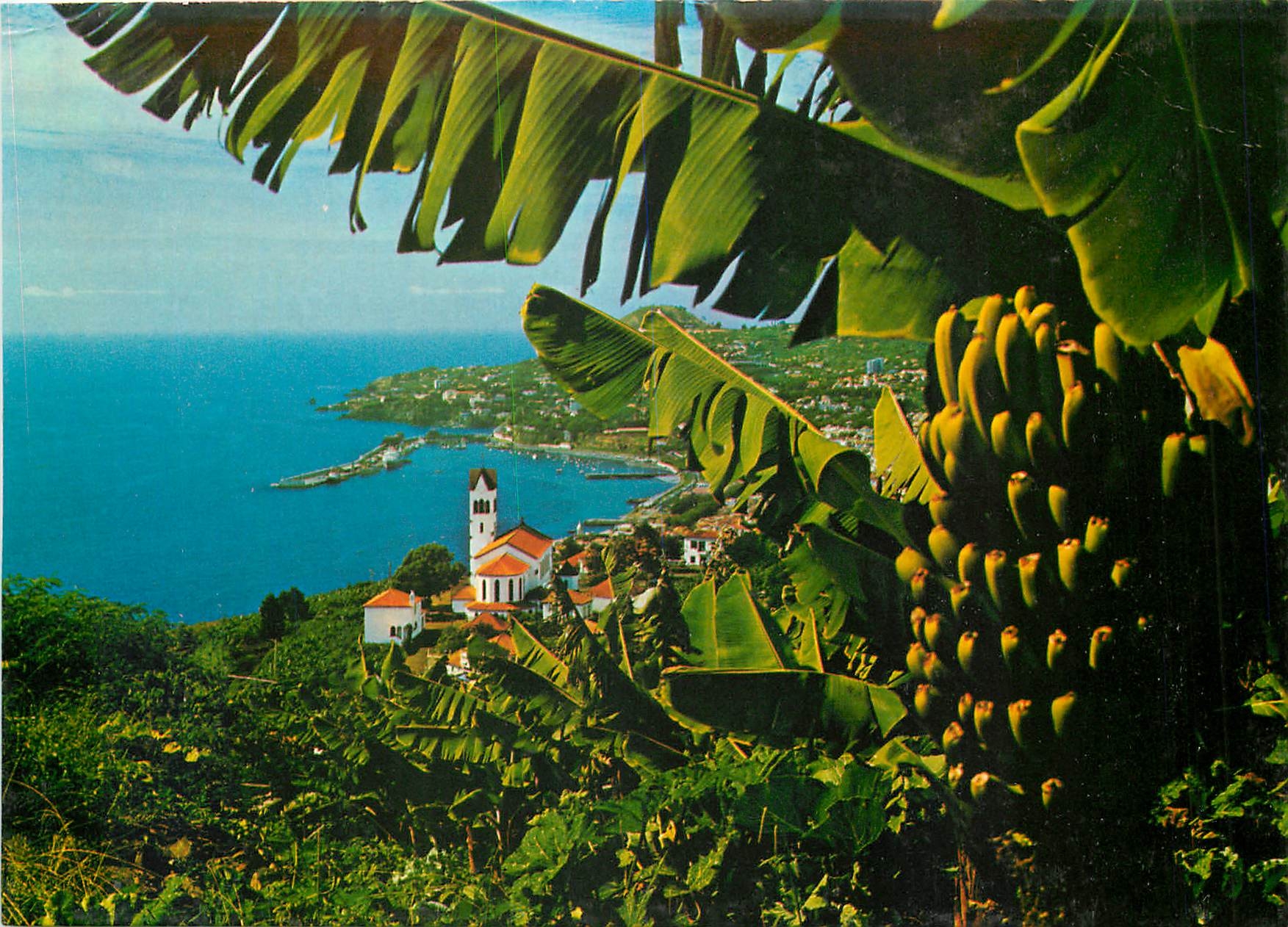 CPM Funchal Madeira Vista Oeste 