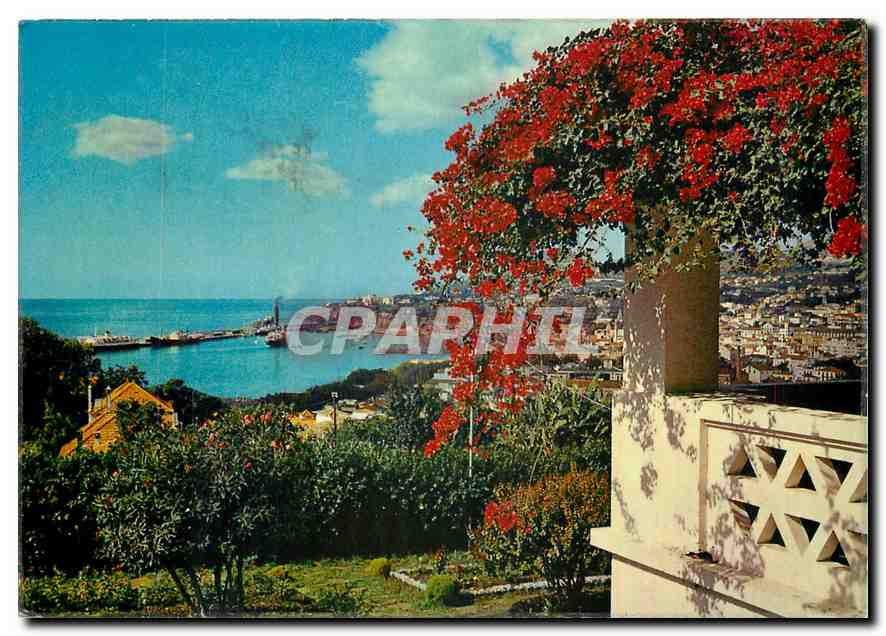 CPM Madeira Coup d'oeil sur la ville et le port de Funchal 