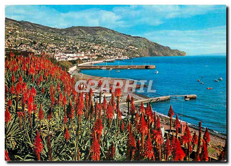 CPM Funchal Madeira Vista leste 