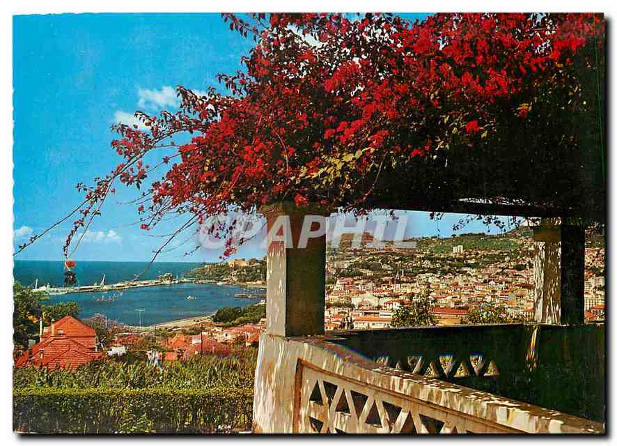 CPM Funchal Madeira Vue Occidentale 