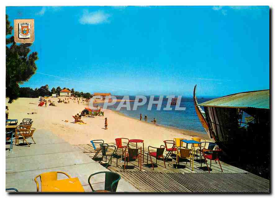 CPM Murtoisa Terreira Portugal 