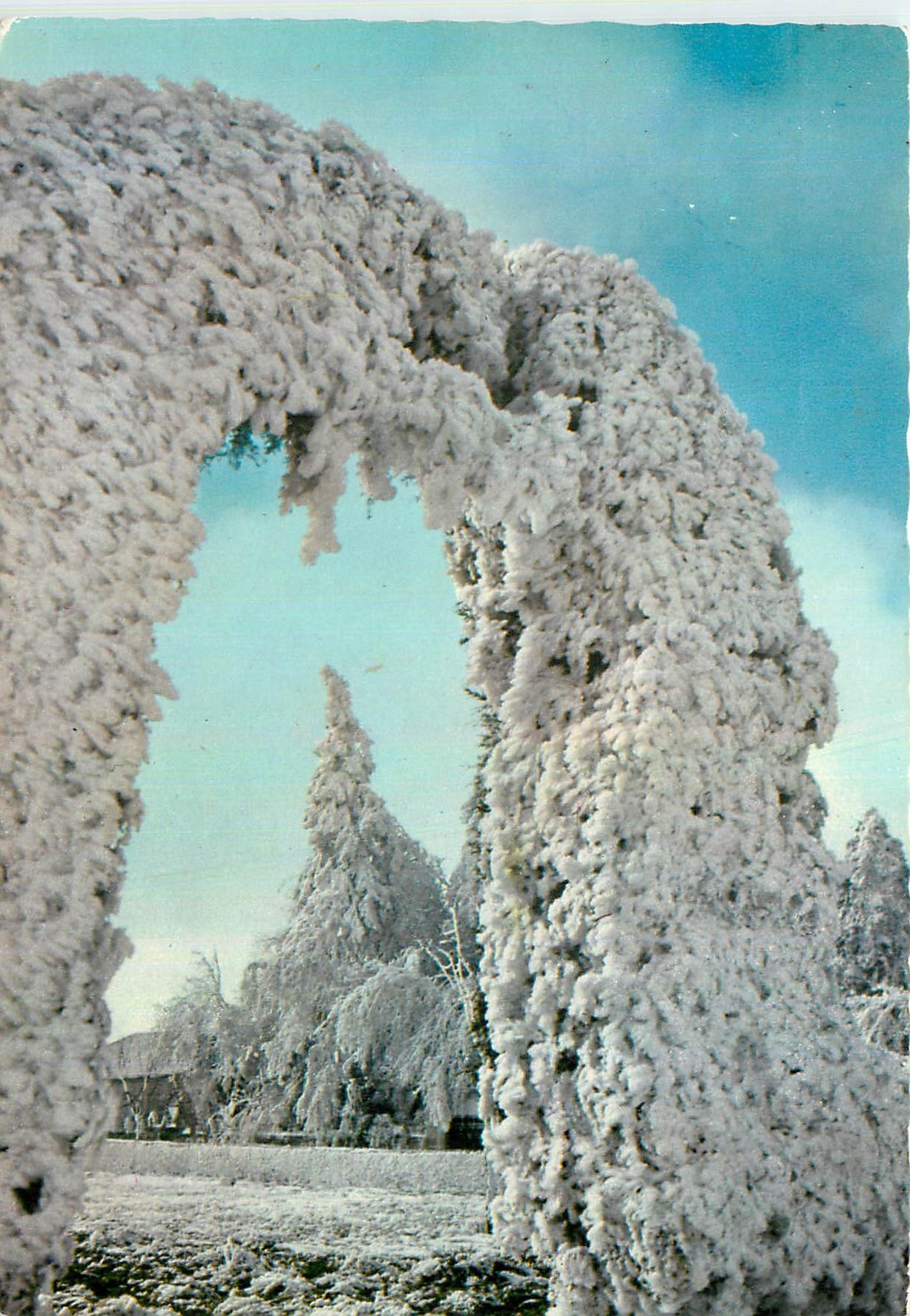 CPM Trancoso Portugal Cristauz de glace 