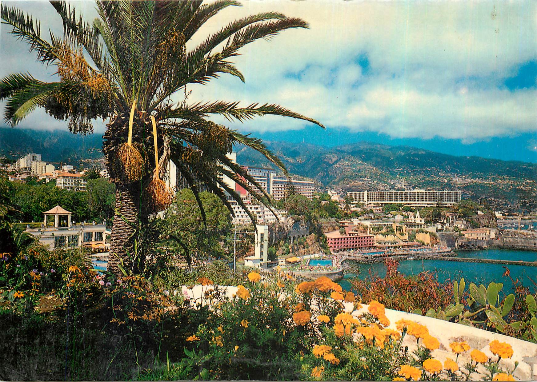 CPM Funchal Madeira Vue orientale 