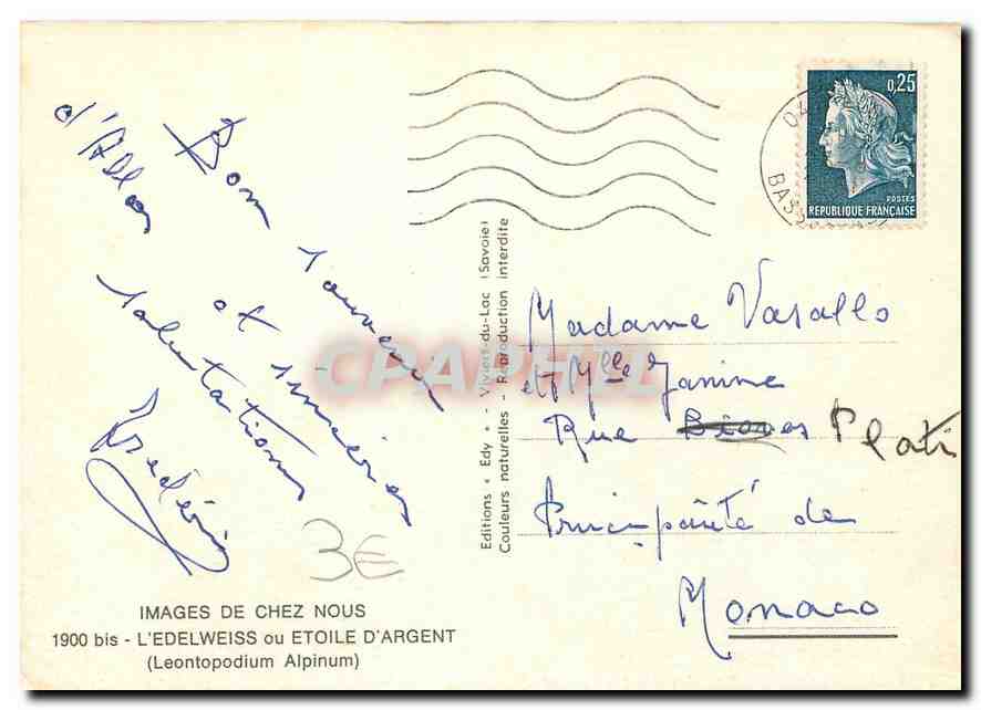 CPM L'Edelweiss ou Etoile d'Argent Leontopodium Alpinum  — Back