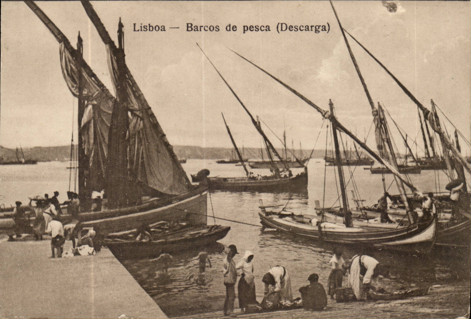 Lisboa-Portugal- Barcos de Pesco-Fishing Boats-CPA