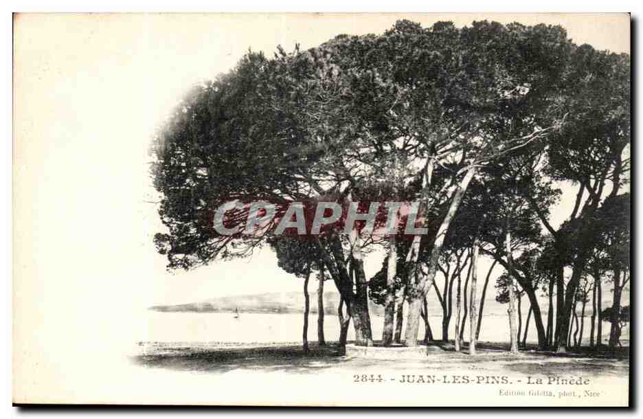 Juan-Les-Pins-La Pinede- CPA