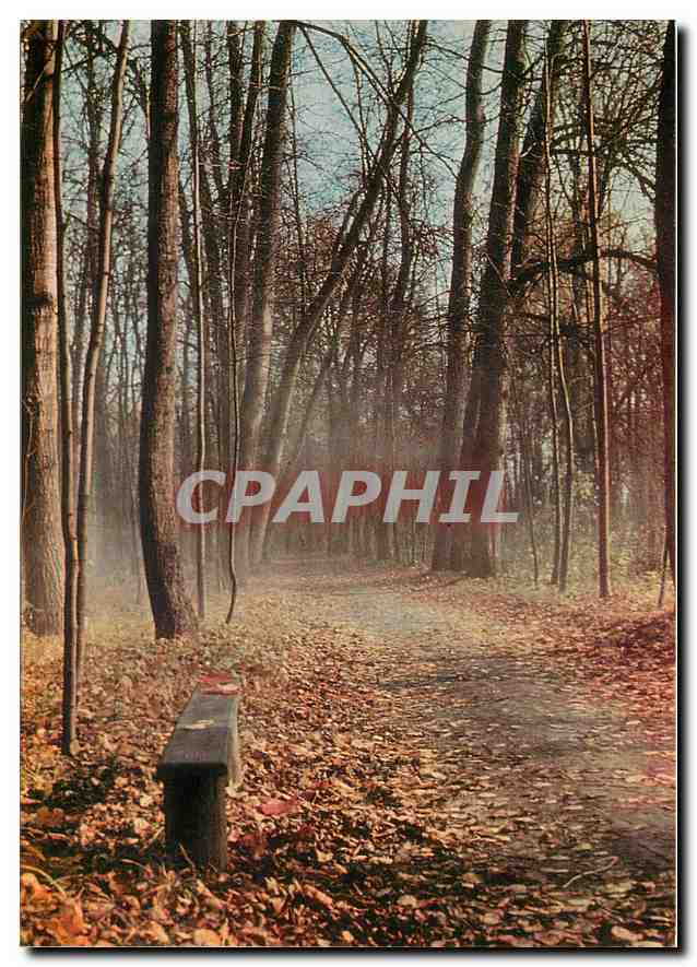 CPM Spasskoje Loutovinovo L'Allee transversale 