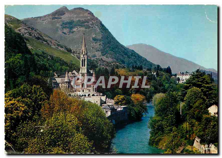 CPM Lourdes La Basilique et le Gave 