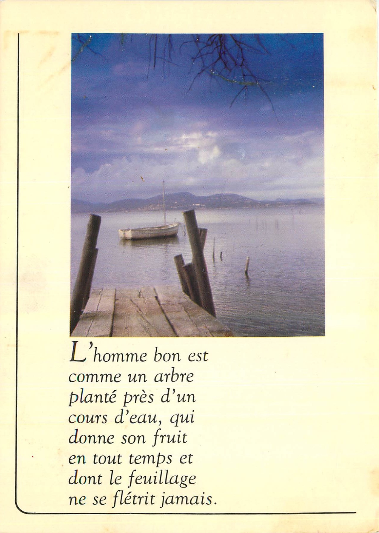 CPM L'homme bon est comme un arbre plante pres d'un cours d'eau 