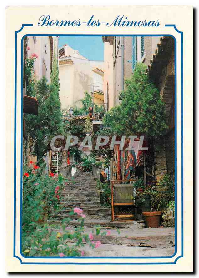 CPM French Riviera Bormes les Mimosas Var 