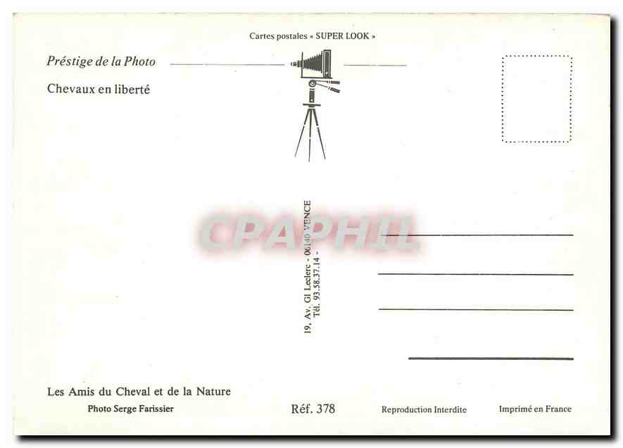 CPM Les Amis du Cheval et de la Nature  — Back