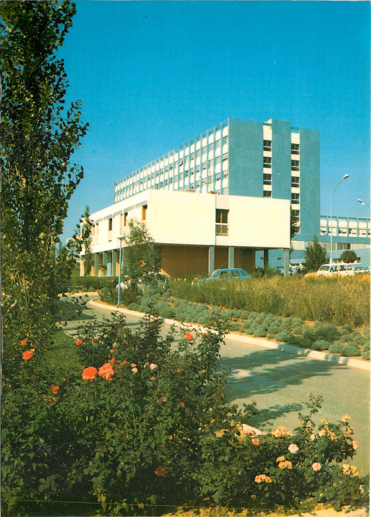 CPM Frejus Saint Raphael 
