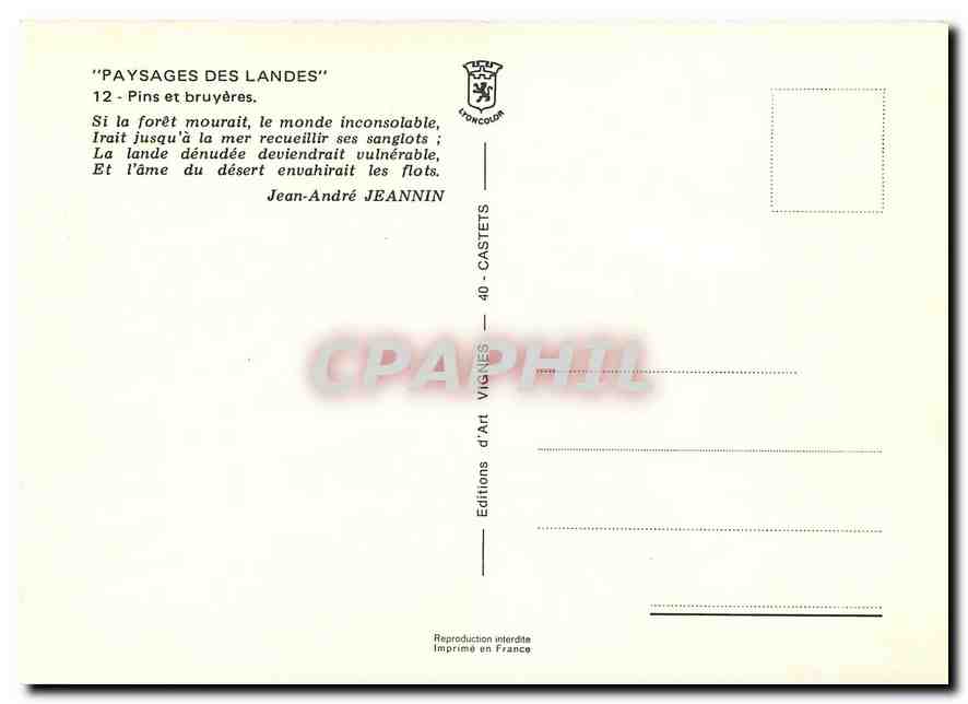 CPM Paysages des Landes Pins et bruyeres  — Rückseite