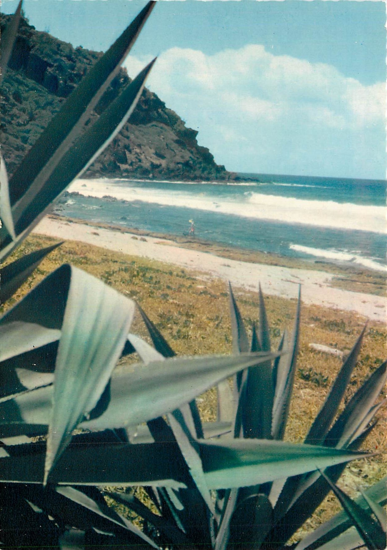 CPM Paysage de la Reunion Plage de la Grande Anse 
