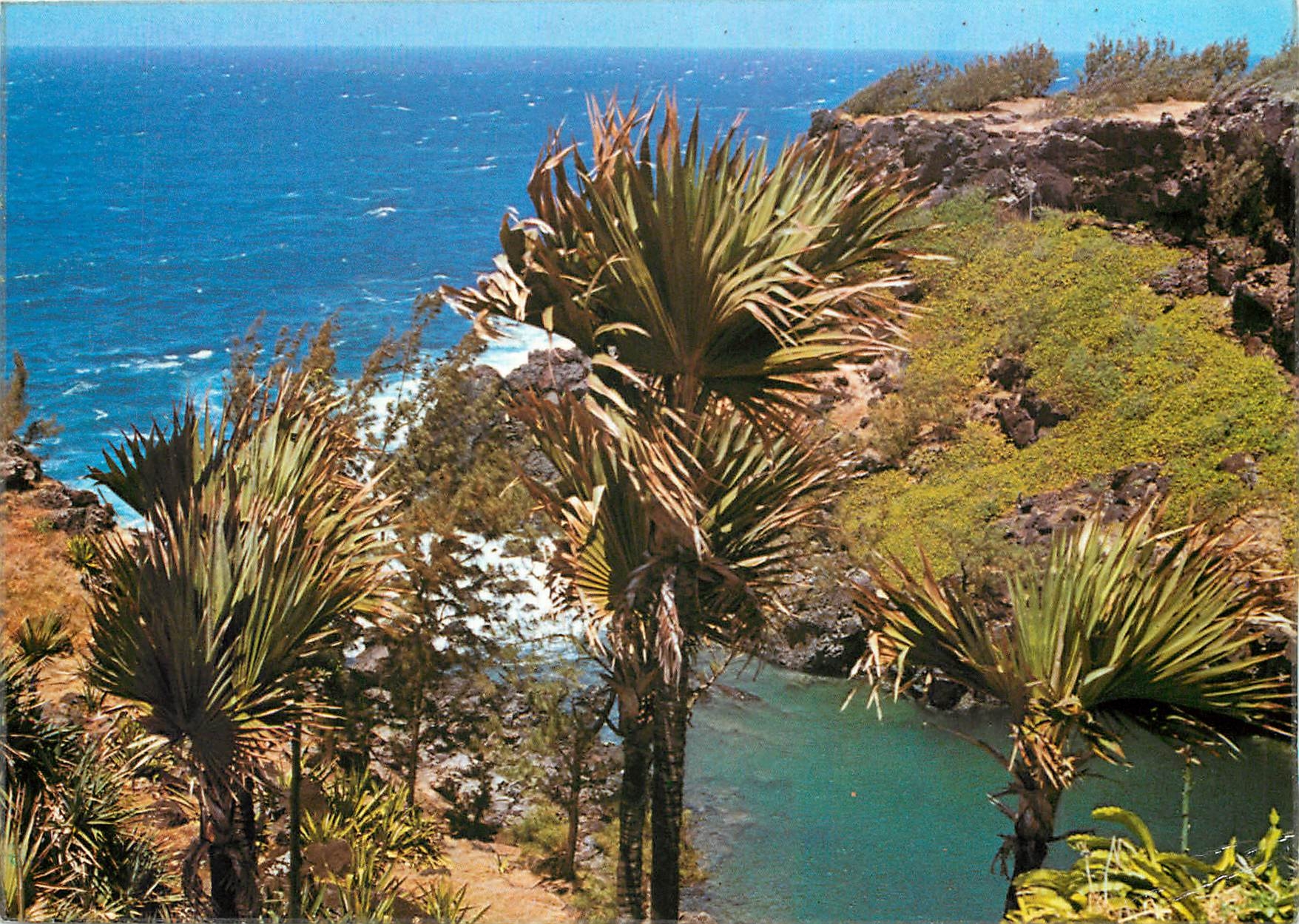 CPM Ile de la Reunion Sainte Rose La tres belle region cotiere 