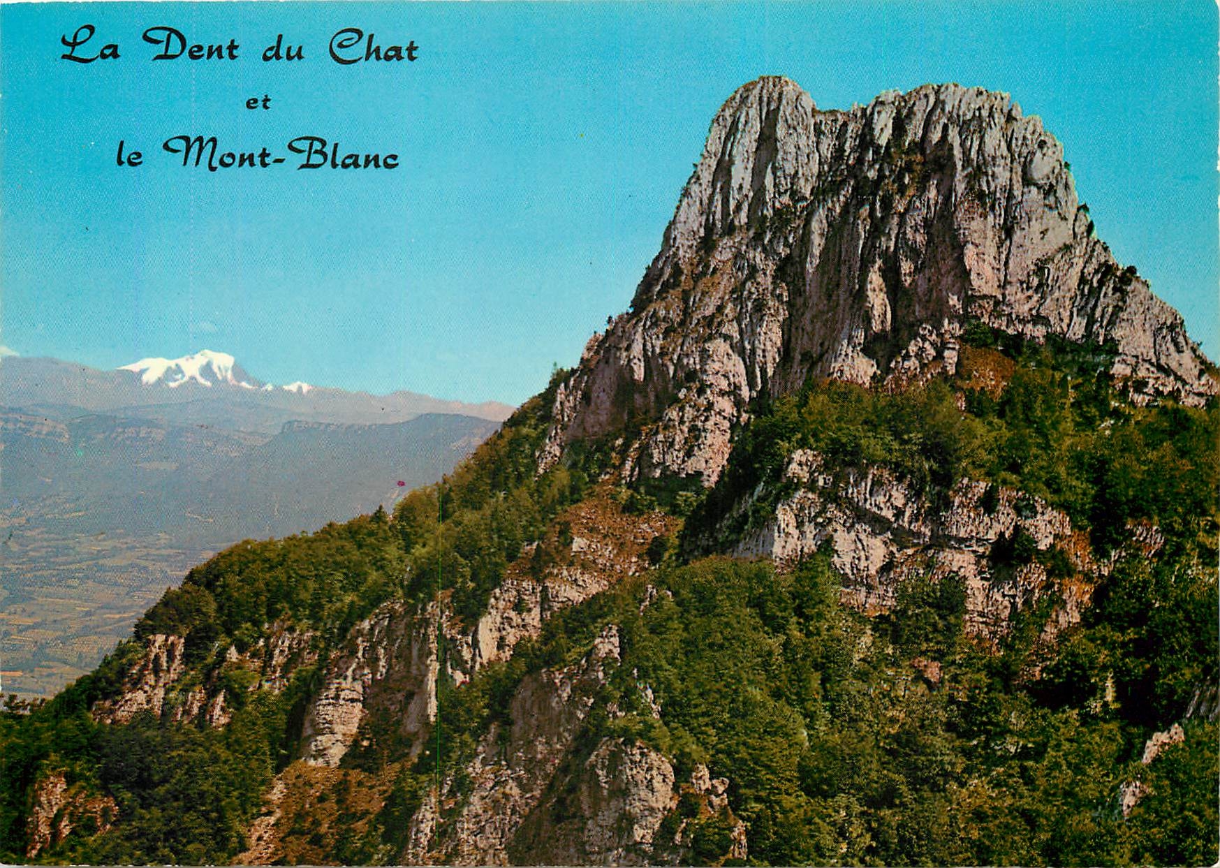 CPM La Dent du Chat et le Mont Blanc 