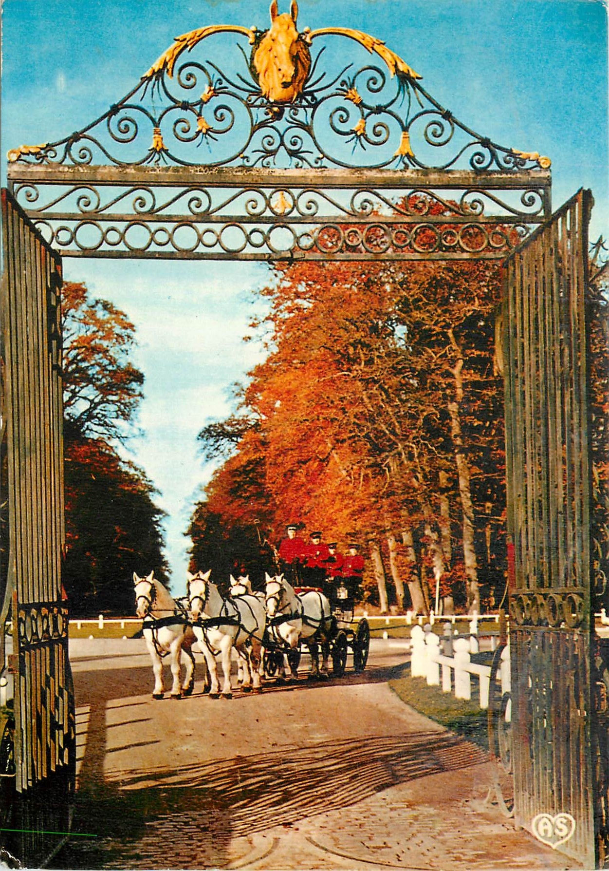 CPM Le Haras du Pin Orne Les Attelages 