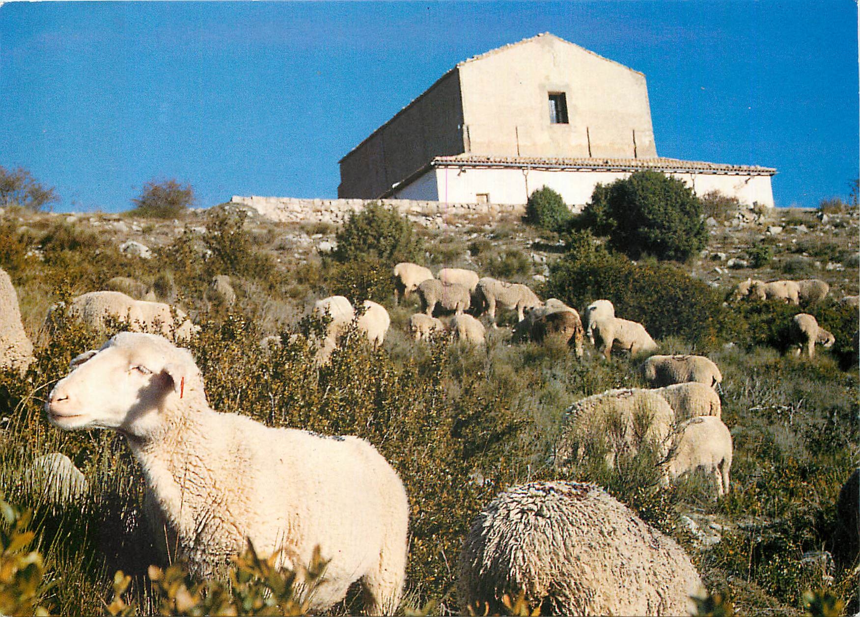 CPM Sanctuaire Notre Dame des Miracles Utelle Alpes Maritime 