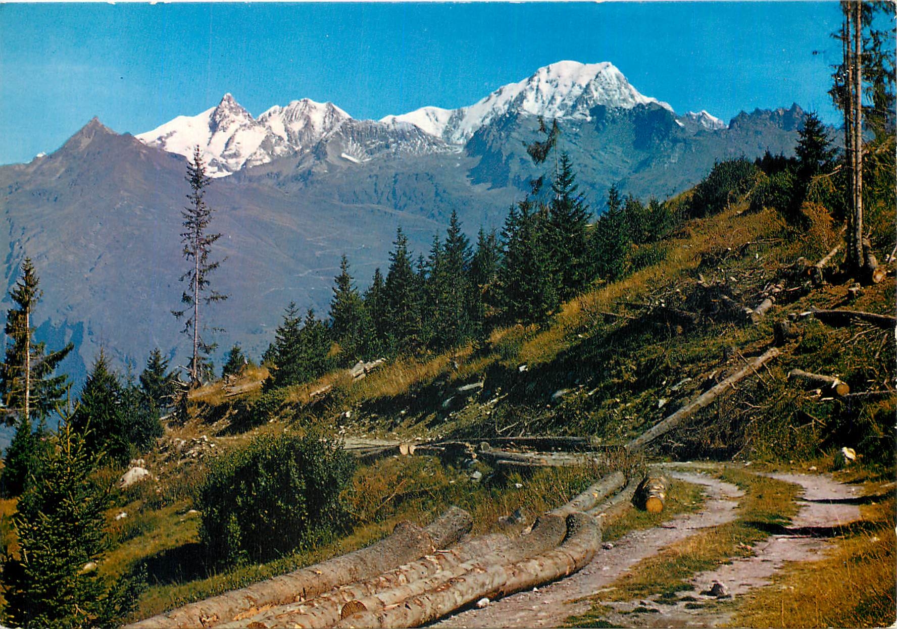 CPM En parcourant les Pyrenees Pittoresque promenade 