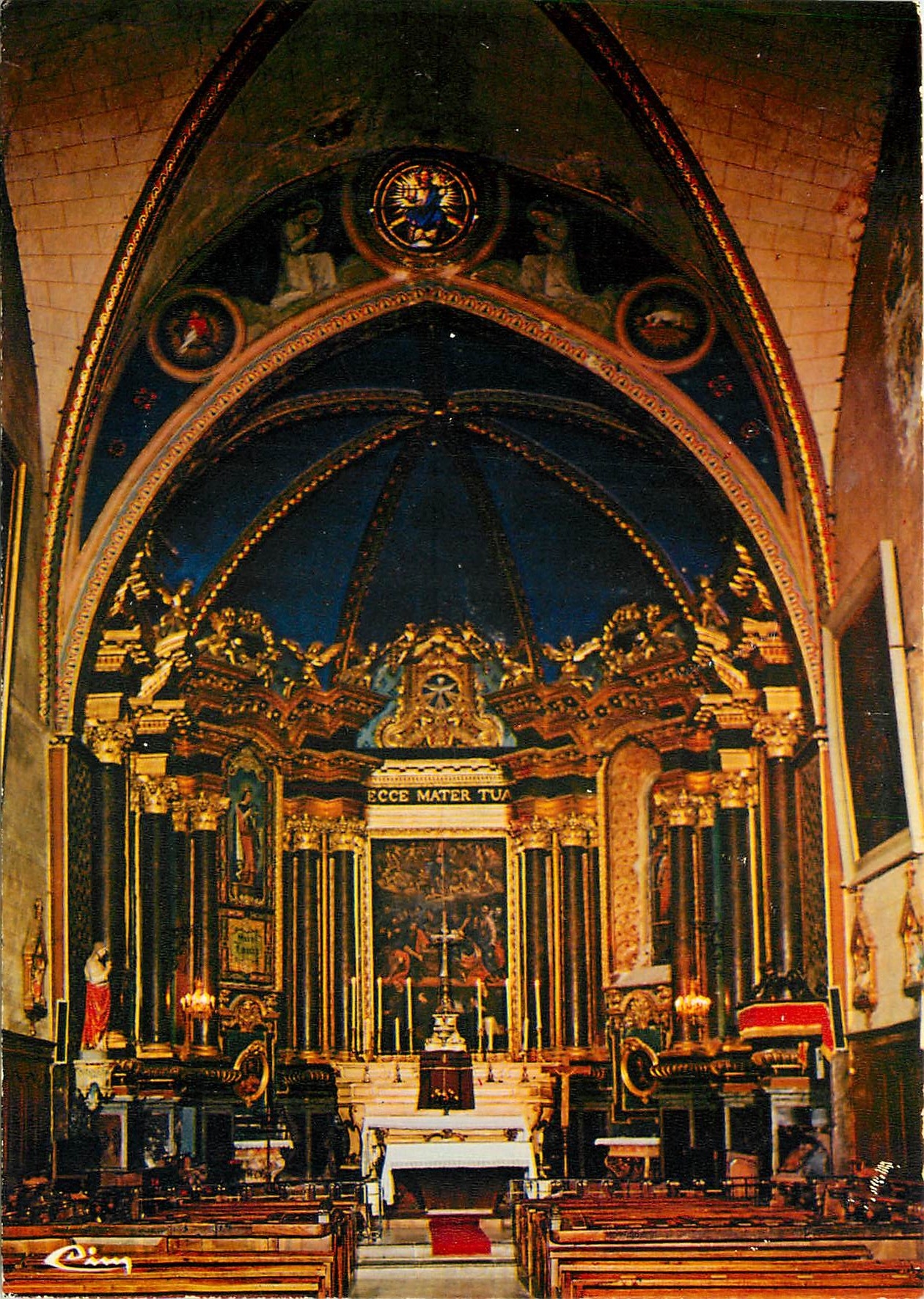 CPM Entrevaux Alp de Hte Prov Interieur de la cathedrale 