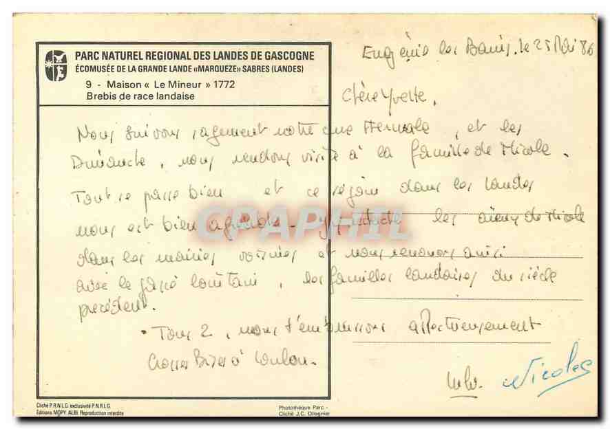 CPM Maison Le Mineur Brebis de race landaise  — Rückseite