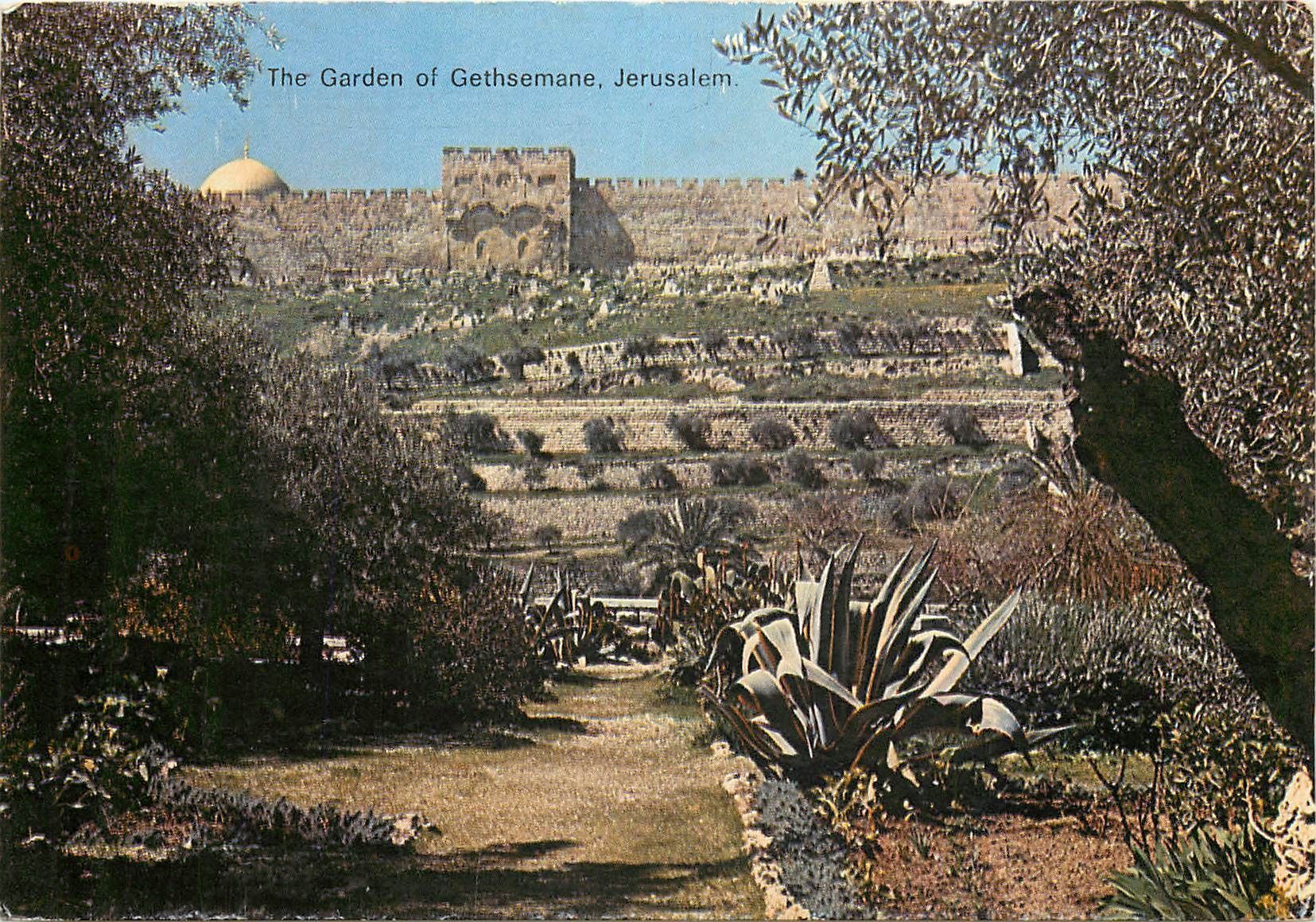 CPM The Garden of Gethsemane Jerusalem 