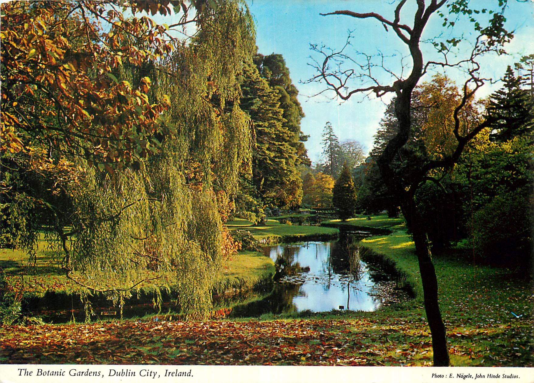 CPM The Botanic Gardens Dublin City Ireland 