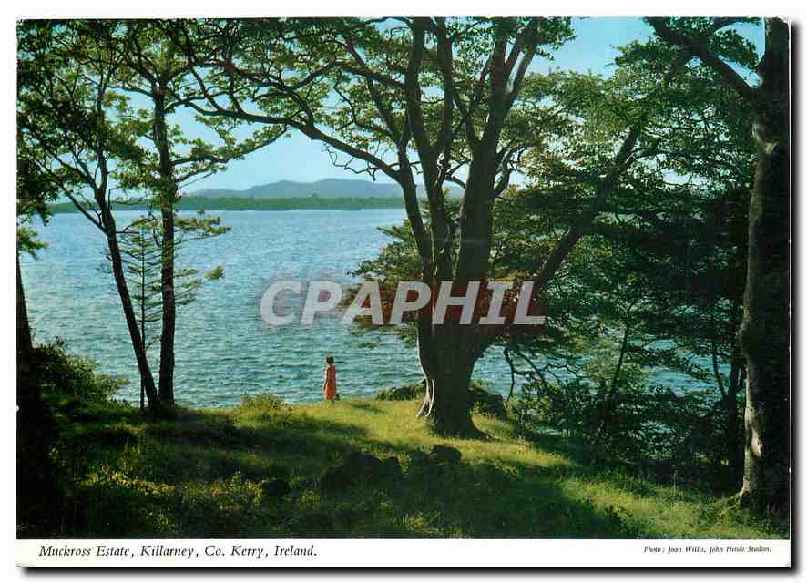 CPM Muckross Estate Killarney Co Kerry Ireland 