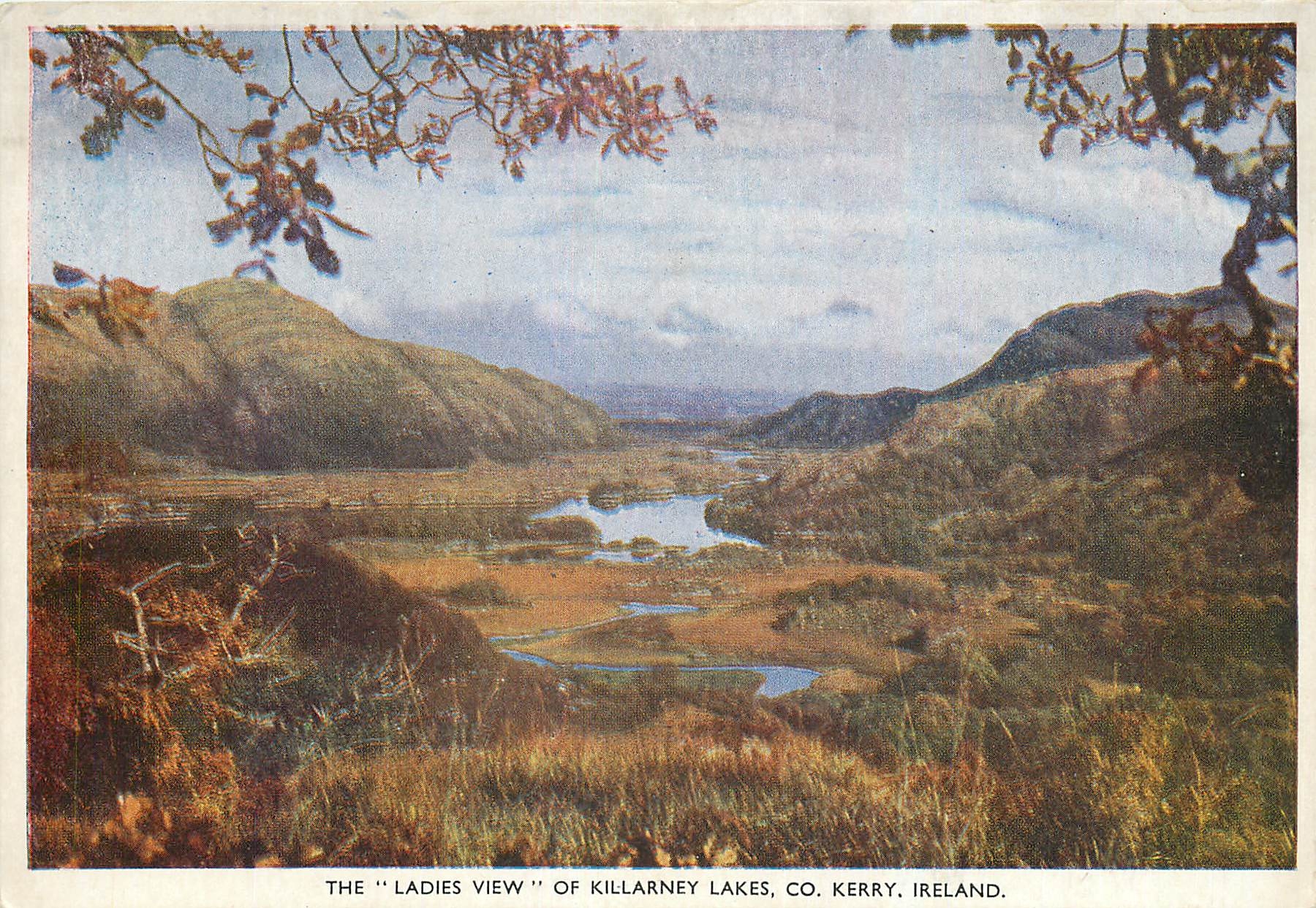 CPM The Ladies View of Killarney Lakes Co Kerry Ireland 