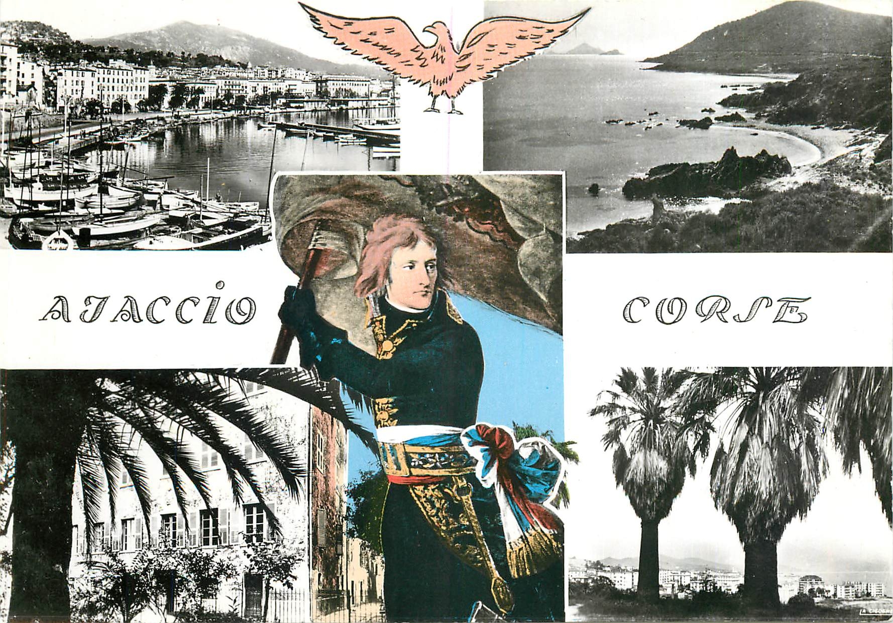 CPA Souvenir d'Ajaccio Corse Le Port 