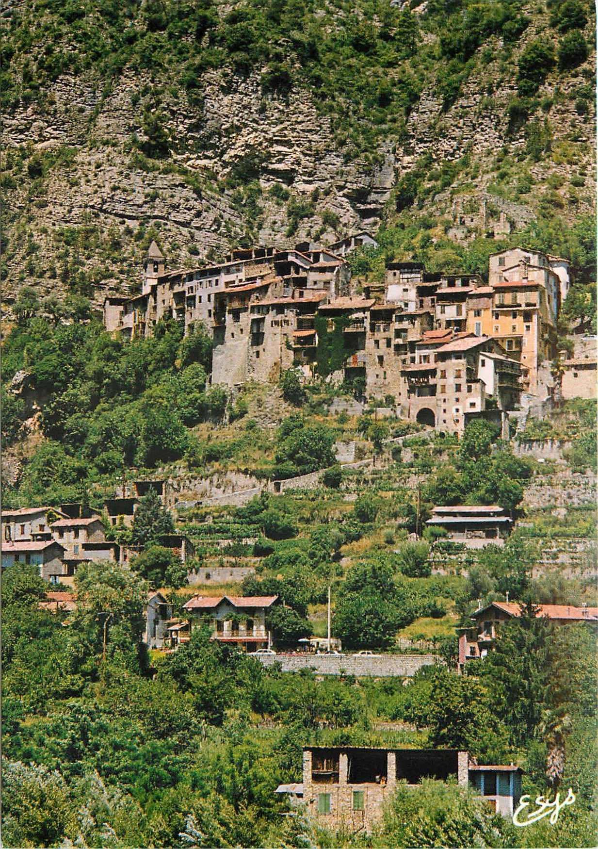 CPM Sur la Route des Grandes Alpes Touet sur Var AM 