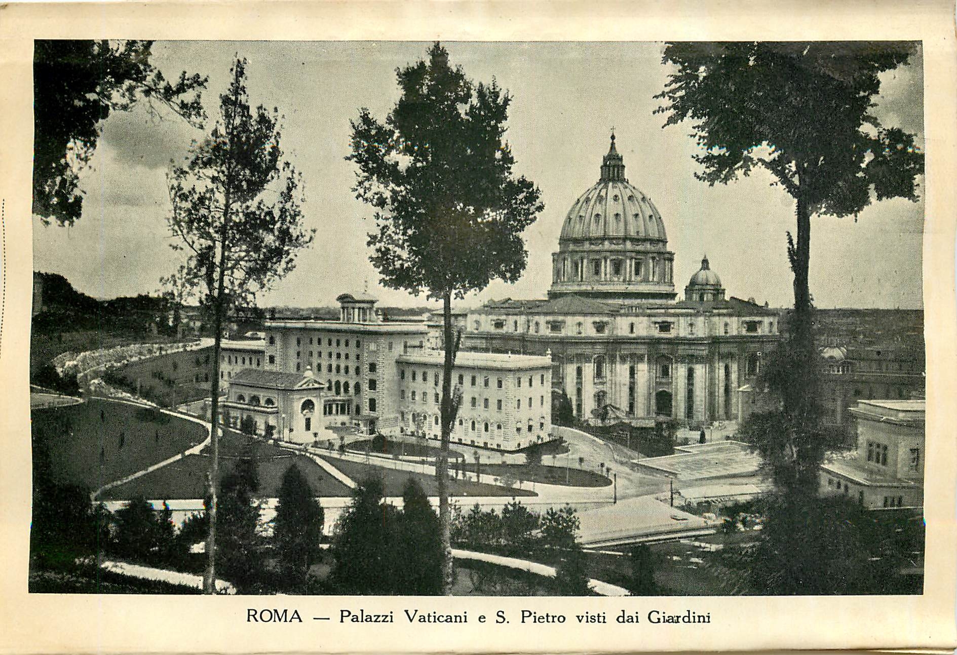 CPM Roma Palazzi Vaticani e S Pietro visti dai Giardini 