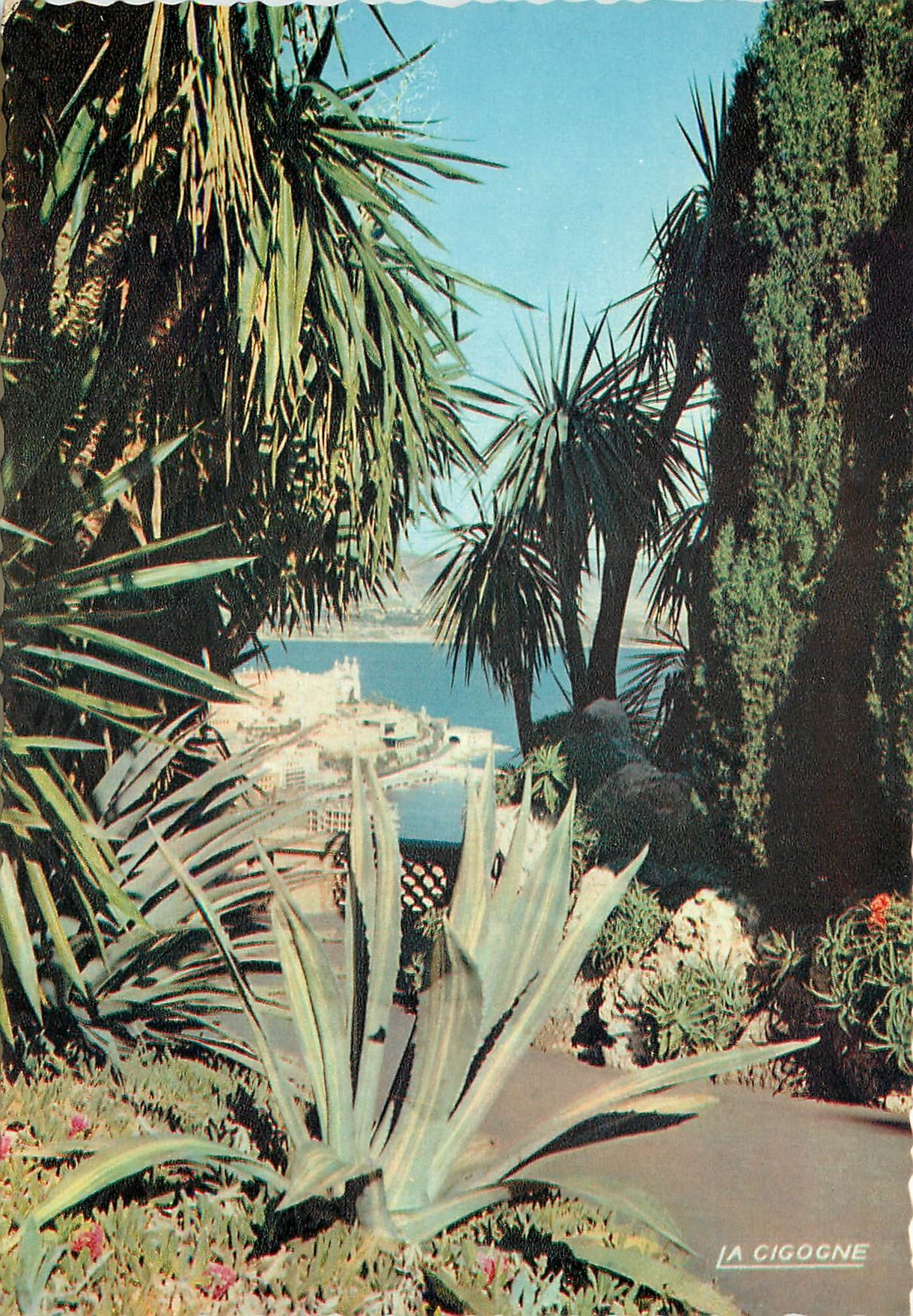 CPM Monaco Le Jardin Exotique Echappee sur Monte Carlo 