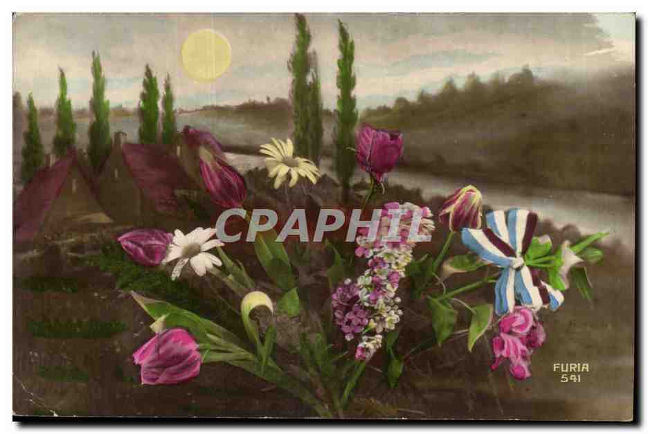 Beautiful flowers at dawn- CPA