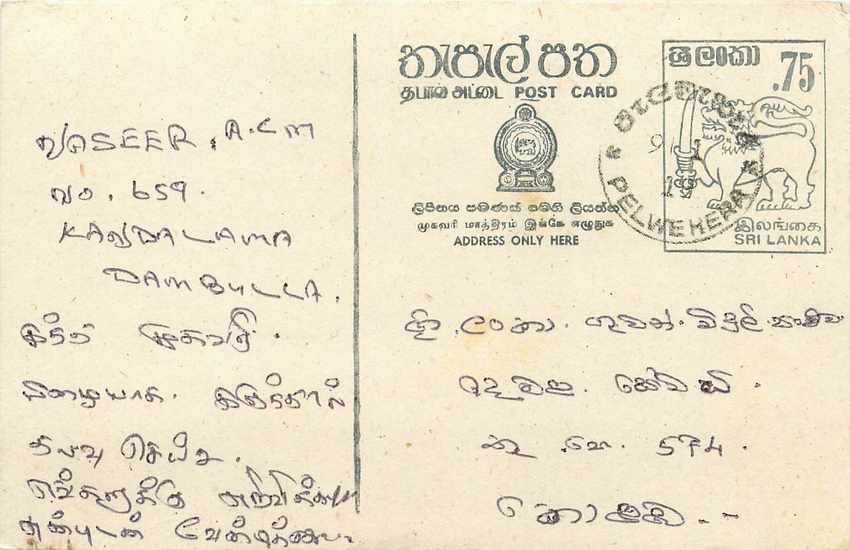 Dambulla — Sri Lanka — Postcard